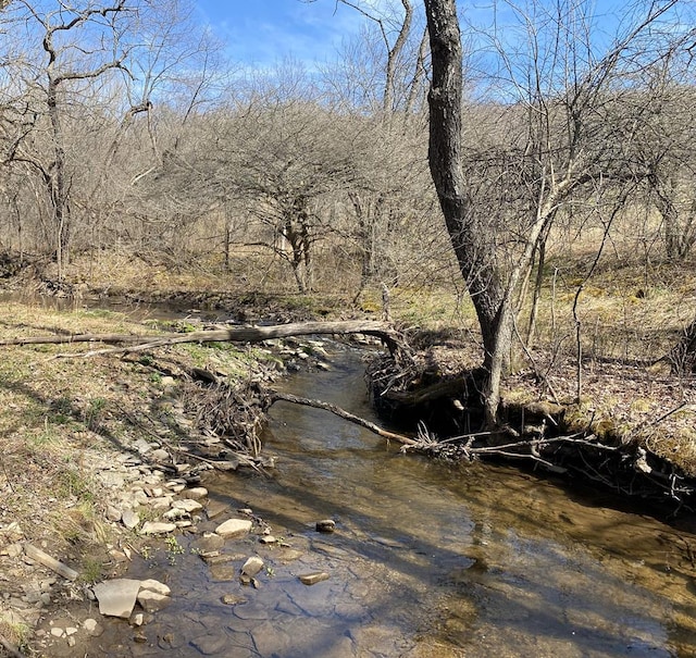 view of local wilderness