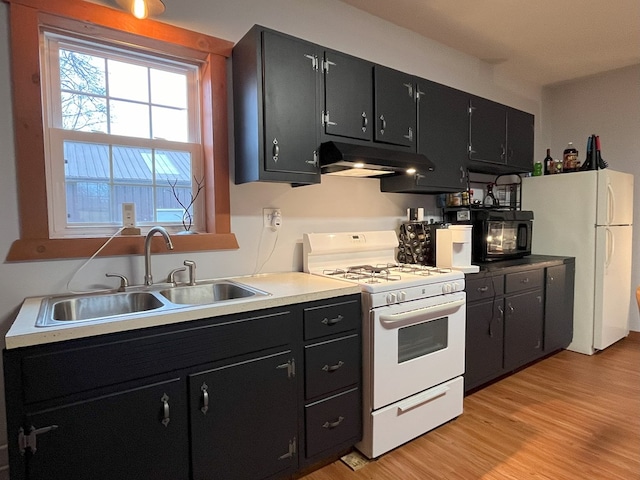 kitchen featuring white appliances, light hardwood / wood-style flooring, and sink