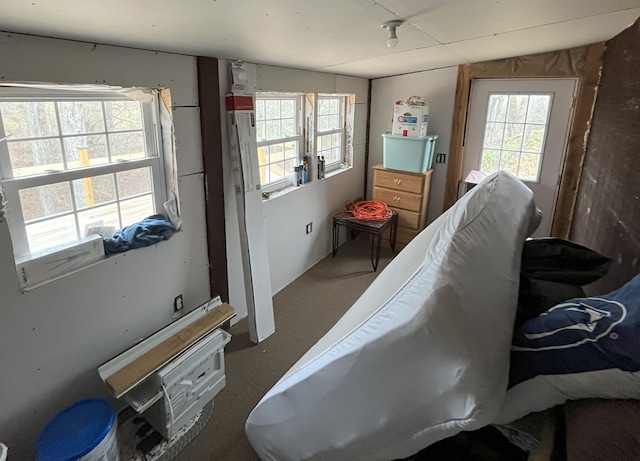 bedroom with carpet flooring