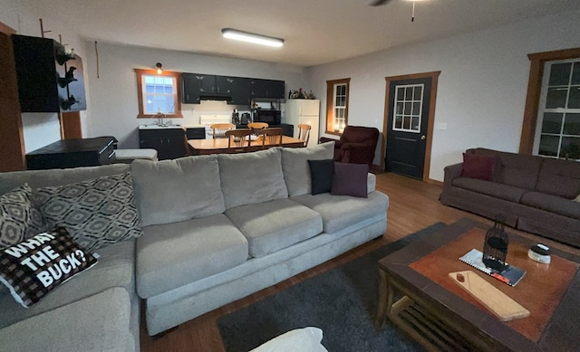 living room featuring sink and hardwood / wood-style flooring