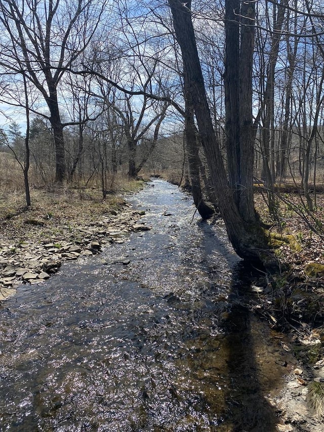 view of nature