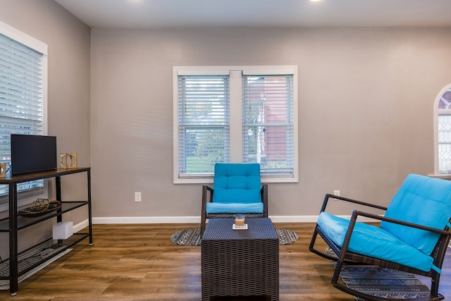 living area featuring dark wood-type flooring