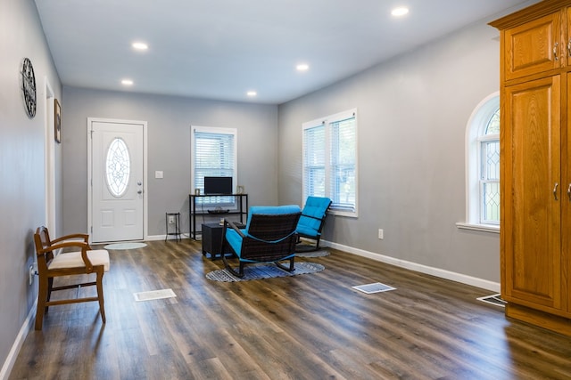 entryway with dark hardwood / wood-style floors and a wealth of natural light