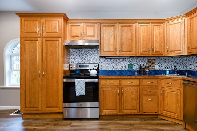 kitchen with backsplash, sink, dark hardwood / wood-style flooring, and stainless steel appliances