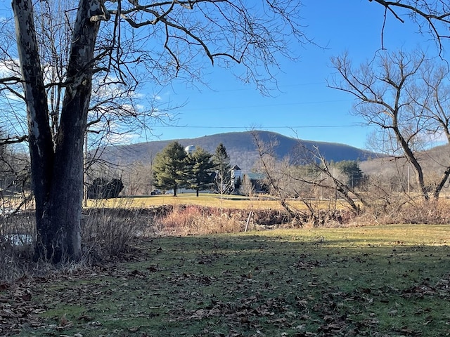 view of mountain feature