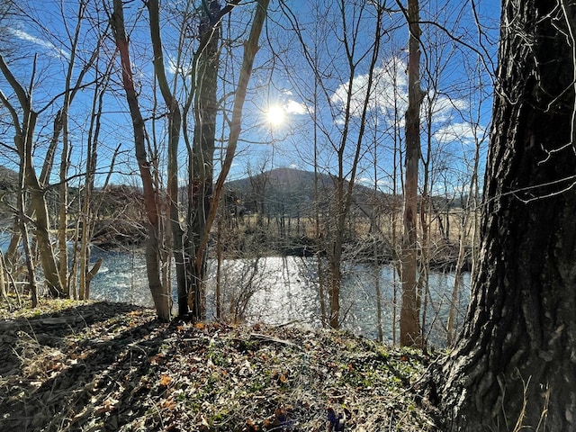 property view of water with a mountain view