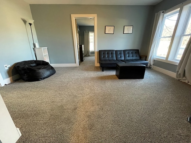 living room featuring carpet