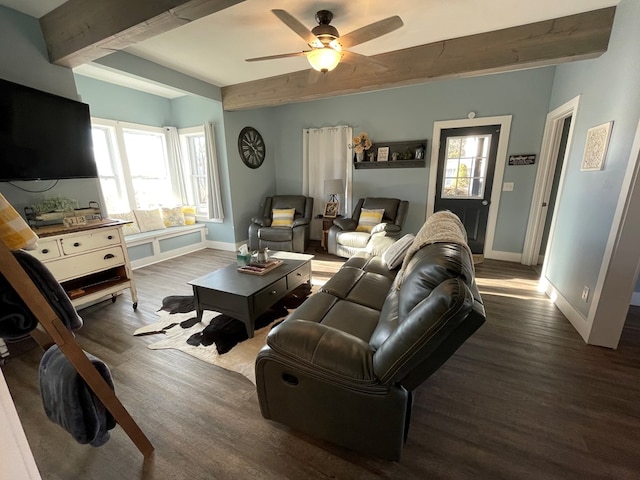 living room featuring dark hardwood / wood-style floors, a healthy amount of sunlight, beam ceiling, and ceiling fan