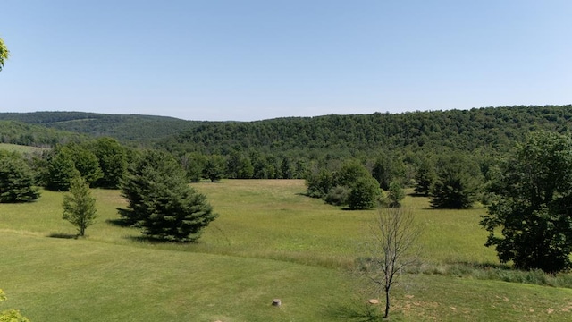 540 Eaton Ln, Gillett, PA 16925 - photo 28