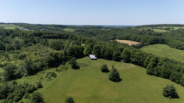 540 Eaton Ln, Gillett, PA 16925 - photo 27