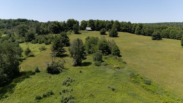 540 Eaton Ln, Gillett, PA 16925 - photo 26