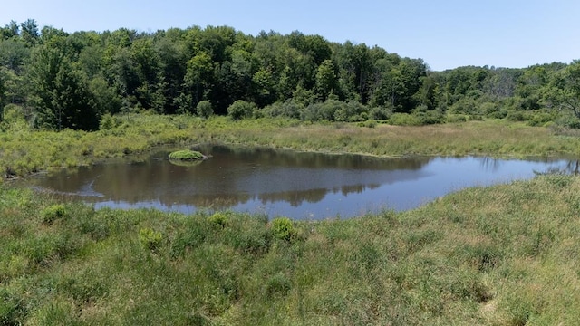 540 Eaton Ln, Gillett, PA 16925 - photo 24