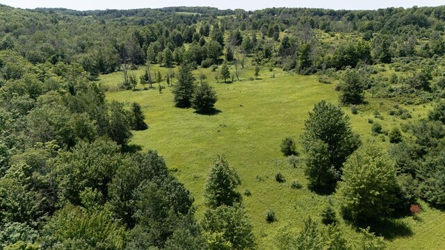540 Eaton Ln, Gillett, PA 16925 - photo 25