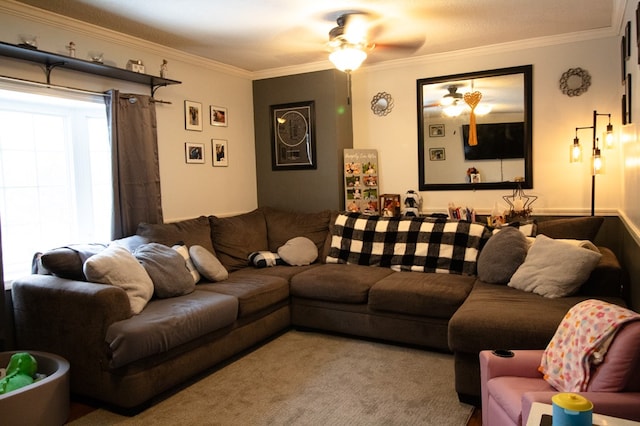 living room with ceiling fan and ornamental molding