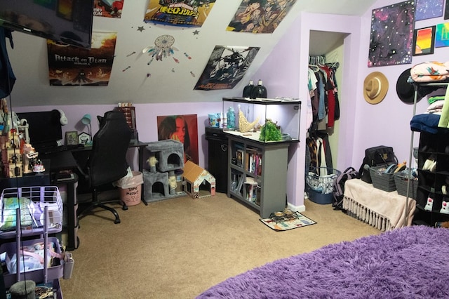 interior space with carpet flooring