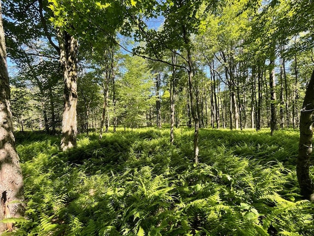 00 Sugar Bush Trl, Galeton, PA 16922 - photo 1