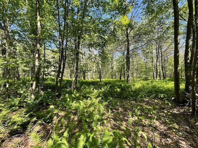 00 Sugar Bush Trl, Galeton, PA 16922 - photo 27