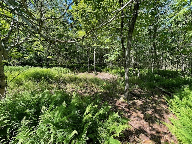 00 Sugar Bush Trl, Galeton, PA 16922 - photo 16