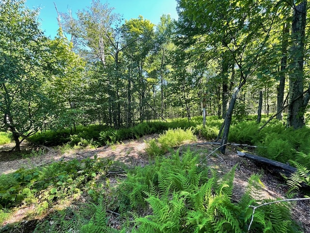 00 Sugar Bush Trl, Galeton, PA 16922 - photo 5