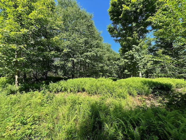 00 Sugar Bush Trl, Galeton, PA 16922 - photo 24
