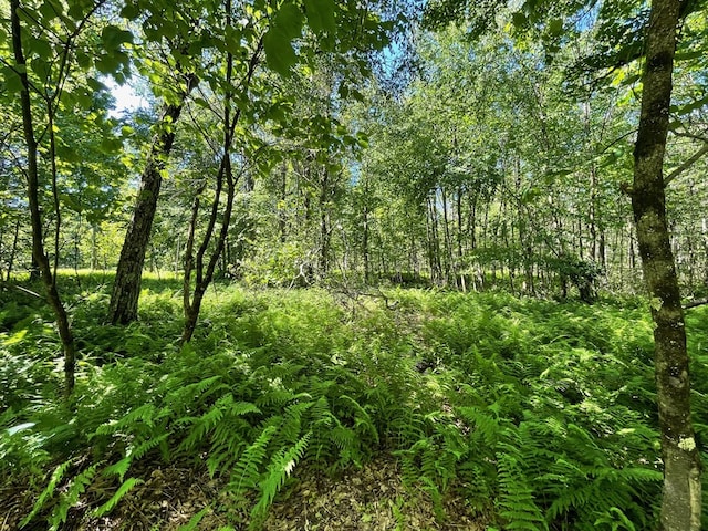 00 Sugar Bush Trl, Galeton, PA 16922 - photo 19