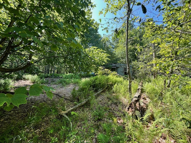 00 Sugar Bush Trl, Galeton, PA 16922 - photo 17