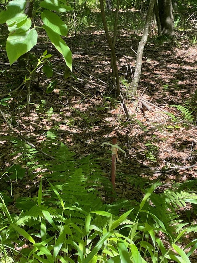 00 Sugar Bush Trl, Galeton, PA 16922 - photo 26