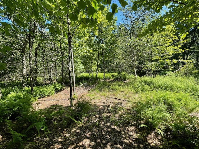 00 Sugar Bush Trl, Galeton, PA 16922 - photo 20