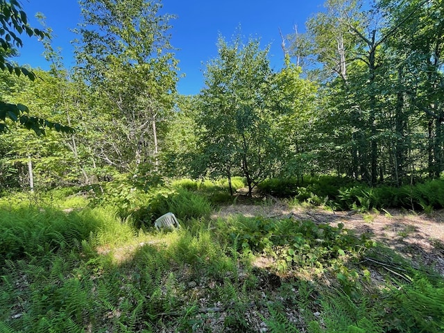 00 Sugar Bush Trl, Galeton, PA 16922 - photo 4