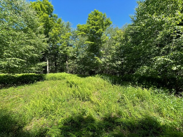 00 Sugar Bush Trl, Galeton, PA 16922 - photo 23