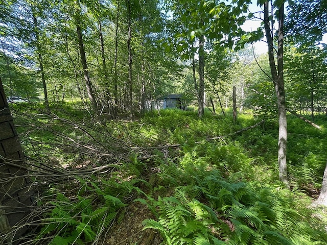 00 Sugar Bush Trl, Galeton, PA 16922 - photo 13