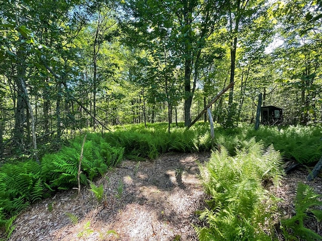 00 Sugar Bush Trl, Galeton, PA 16922 - photo 7