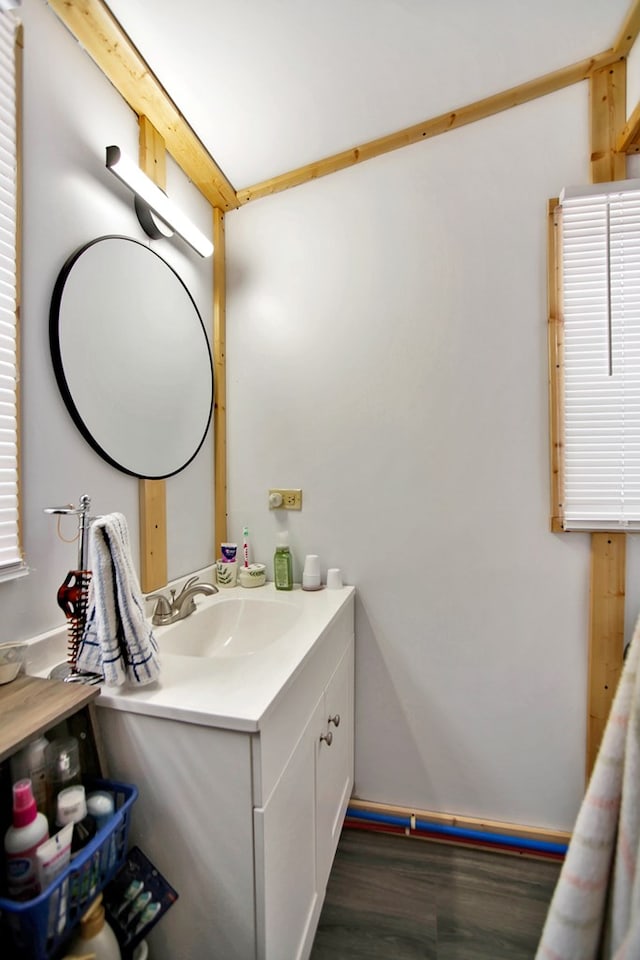 bathroom with vanity and hardwood / wood-style floors