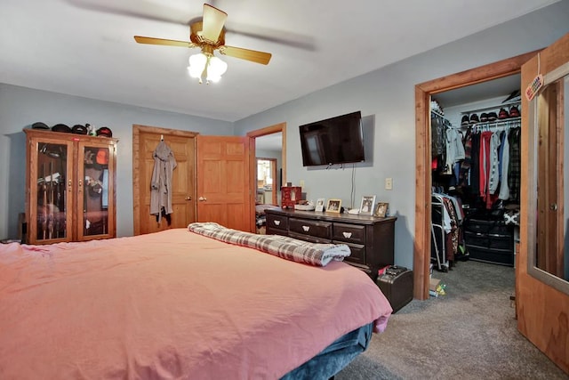 carpeted bedroom with a spacious closet, ceiling fan, and a closet