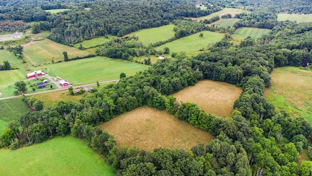 bird's eye view featuring a rural view