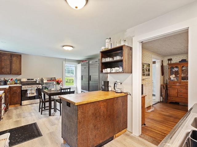 kitchen with dark brown cabinets, light hardwood / wood-style floors, and appliances with stainless steel finishes