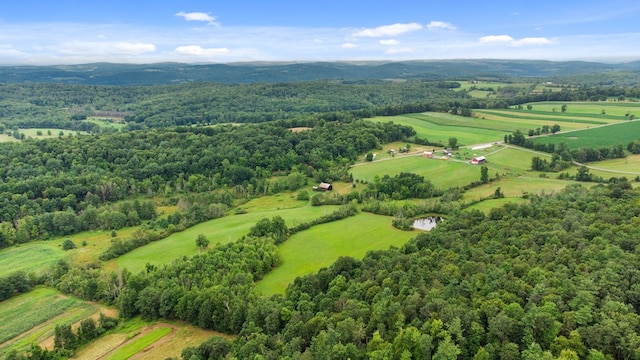 aerial view with a rural view