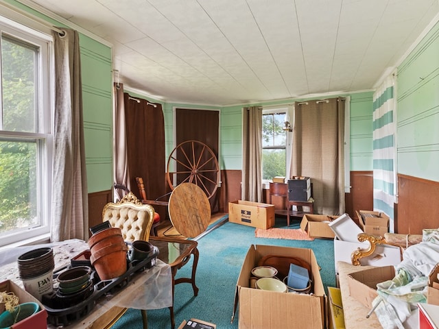 living area with carpet flooring and wood walls