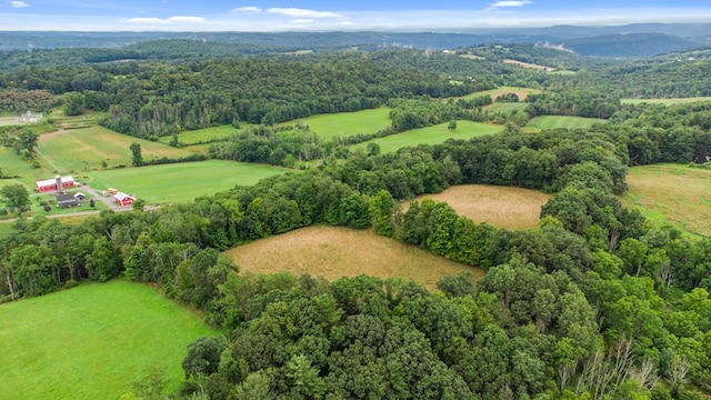 bird's eye view