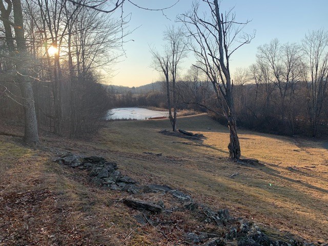 view of yard featuring a forest view and a water view