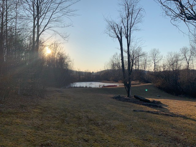 yard at dusk with a water view