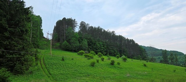 00 Buffalo St, Coudersport, PA 16915