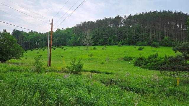 00 Buffalo St, Coudersport, PA 16915