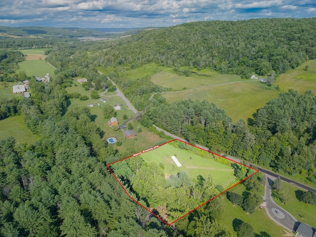 1965 Thornbottom Rd, Lawrenceville, PA 16929 - photo 14