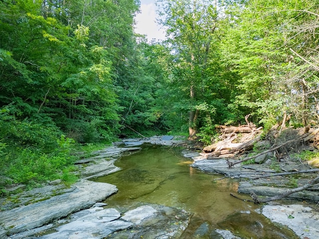 1965 Thornbottom Rd, Lawrenceville, PA 16929 - photo 8