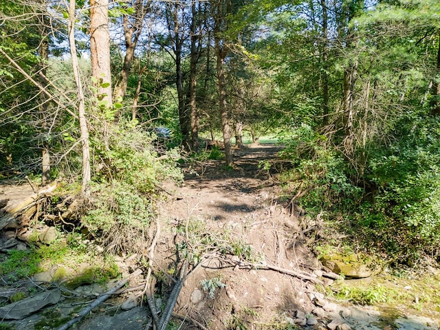 1965 Thornbottom Rd, Lawrenceville, PA 16929 - photo 7