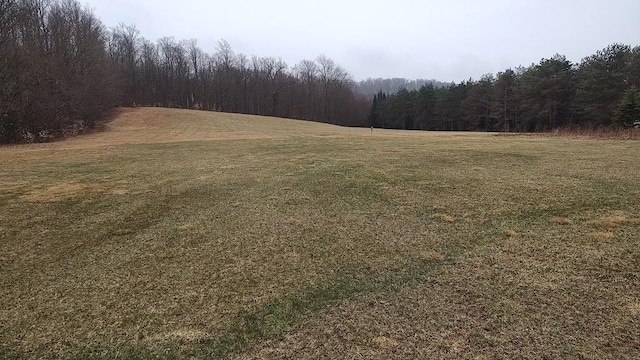 view of yard featuring a view of trees