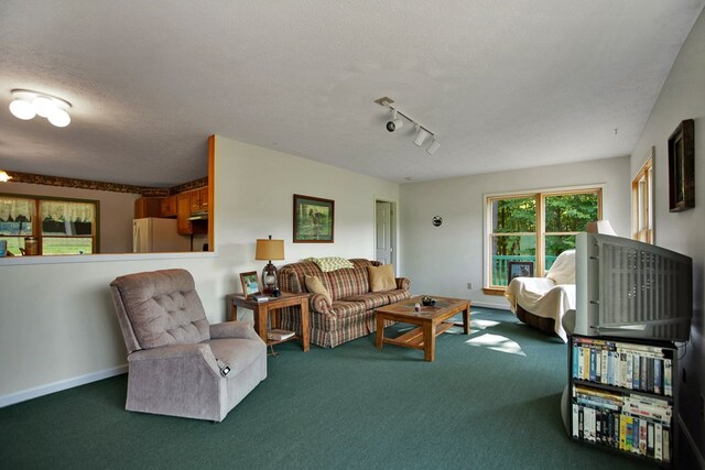 living room with carpet, a textured ceiling, and rail lighting