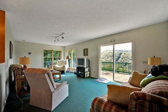 living room with rail lighting, carpet floors, and a textured ceiling