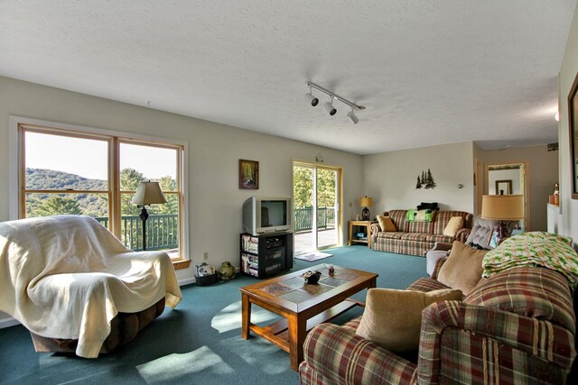 carpeted living room with a mountain view, rail lighting, a healthy amount of sunlight, and a textured ceiling